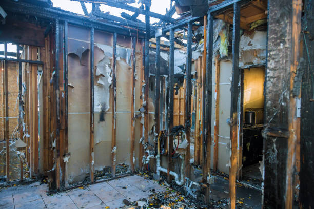 Professional Smoke Damage Removal technician working in Malvern, OH